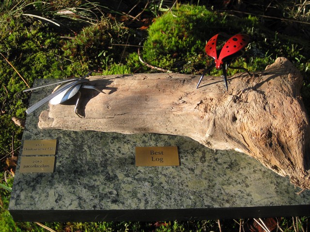 Trophy best log